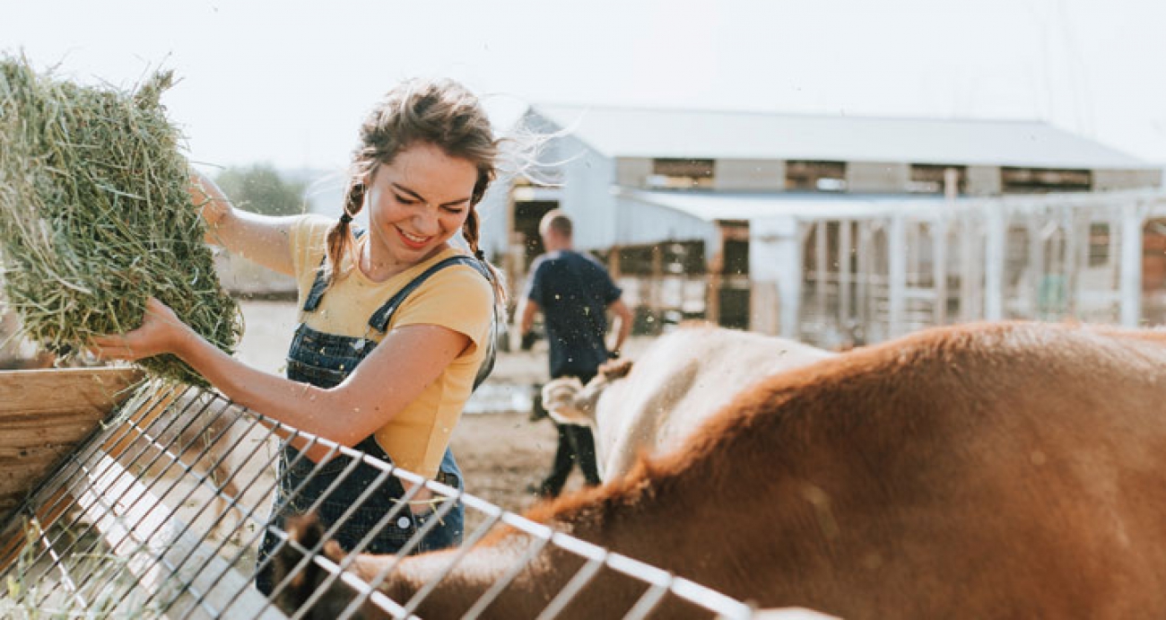 Corteva Agriscience Submits New Pasture Herbicide to EPA
